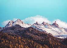 开云：在云端开启协同与增长的新纪元